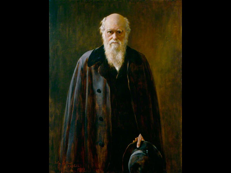 copy by John Collier, oil on canvas, 1883 (1881)