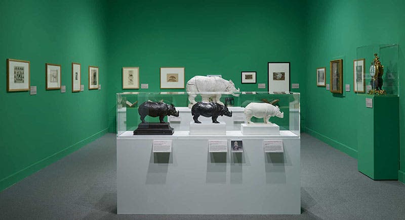 Three statuettes and a statue of Clara the rhino, after Oudry, Barber Institute of Fine Arts, University of Birmingham (barber.org.uk)