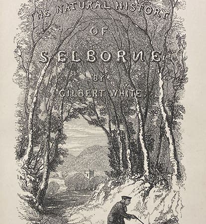 Wood-engraved title page, with a portrait of the author, The Natural History and Antiquities of Selborne, by Gilbert White, edited by William Jardine, 1853 (Linda Hall Library)