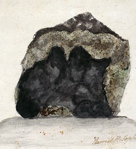Sketch of the Wold Cottage meteorite, watercolor by Harriet Topham, 1797, Natural History Museum, London (nhm.ac.uk)