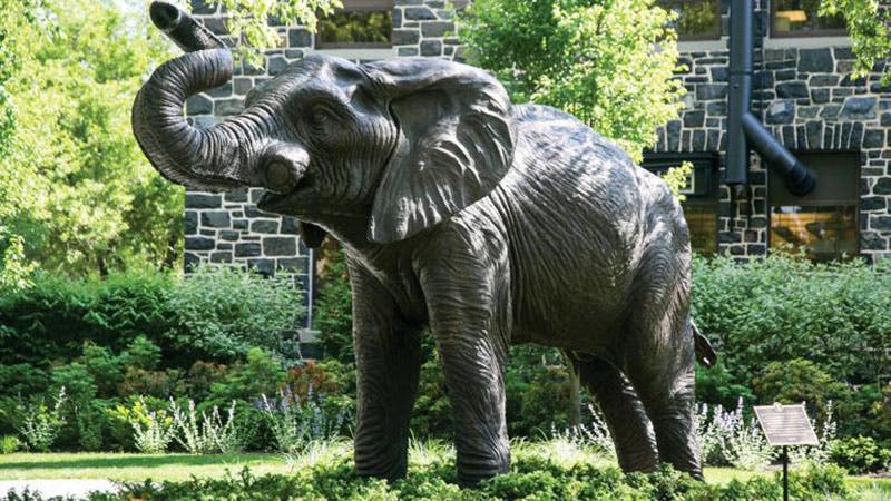 Bronze statue of Jumbo at Tufts University, unveiled in 2015 (tufts.edu)