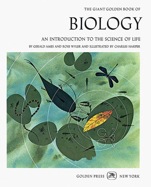 Front cover, by Charley Harper, for The Giant Golden Book of Biology, by Gerald Ames and Rose Wyler, 1961 (charleyharperprints.com)