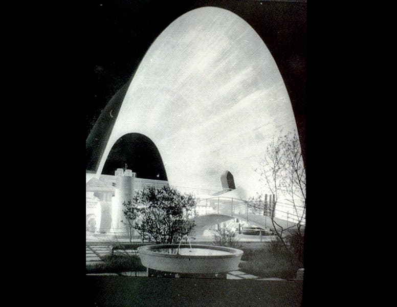 Johns Hopkins University