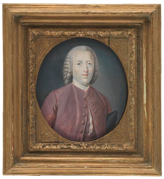 Portrait of John Turberville Needham, watercolor, by Jean Baptist Garand, 1755, NPG 4889, National Portrait Gallery (npg.org.uk)