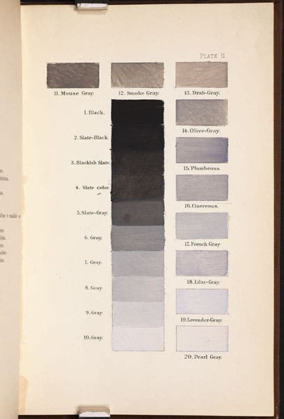 Swatches of gray with names, plate 9 entire, A Nomenclature of Colors for Naturalists, by Robert Ridgway, 1886 (Linda Hall Library)