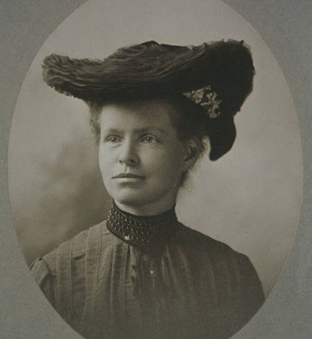 Portrait of Nettie Maria Stevens, unknown date (carnegiescience.edu)