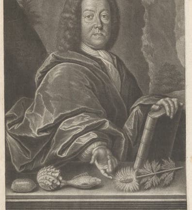 Portrait of Johann Jakob Scheuchzer, engraving, frontispiece to Scheuchzer’s <i>Physica sacra</i>, vol. 1, 1731 (Linda Hall Library)