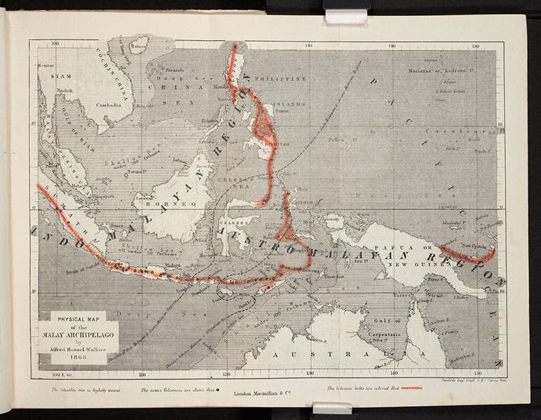 Map, showing Wallace’s line at the center going up, wood engraving, The Malay Archipelago, by Alfred Russel Wallace, vol. 1, 1869 (Linda Hall Library)