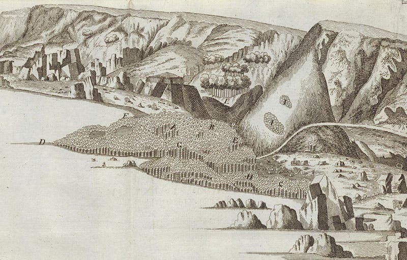 Detail of sixth image, showing the primary columnar basalt formation at the Giant’s Causeway (Linda Hall Library)