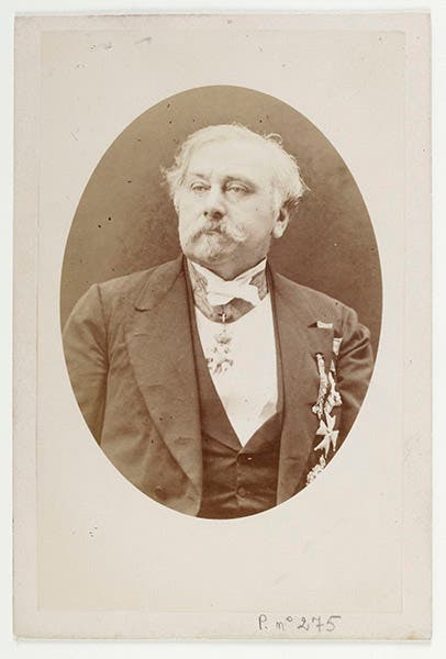 Portrait of Alexandre-Émile Béguyer de Chancourtois, photograph, 1886, Bibliothèque nationale de France (Wikimedia commons)