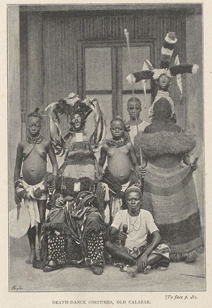 Death dance costumes, Old Calabar, photograph, Travels in West Africa, by Mary H. Kingsley, p. 483, 1897 (The Linda Hall)
