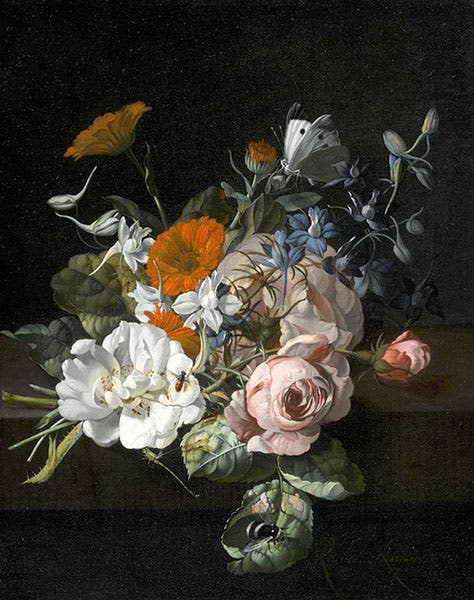 Still Life of Flowers, oil on canvas, by Rachel Ruysch, 1695, private collection, Web Gallery of Art (wga.hu)
