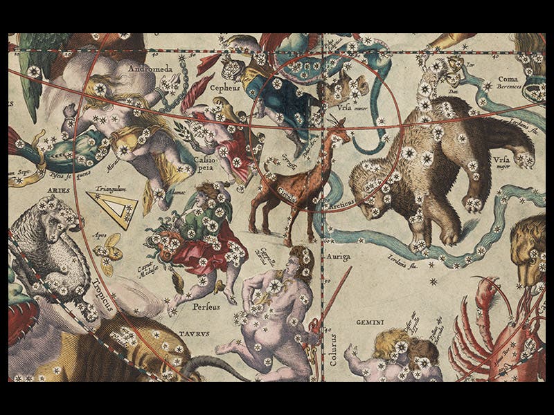 084044, 11/18/08, 1:17 PM, 8C, 5880x8000 (90+0), 100%, Custom, 1/60 s, R20.5, G6.9, B17.5