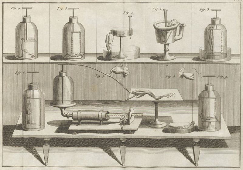 Frog-leg experiments performed by Luigi Galvani in the early 1790s, detail of an engraving, Essai théorique et expérimental sur le galvanisme, by Giovanni Aldini, plate 10 at end, 1804 (Linda Hall Library)