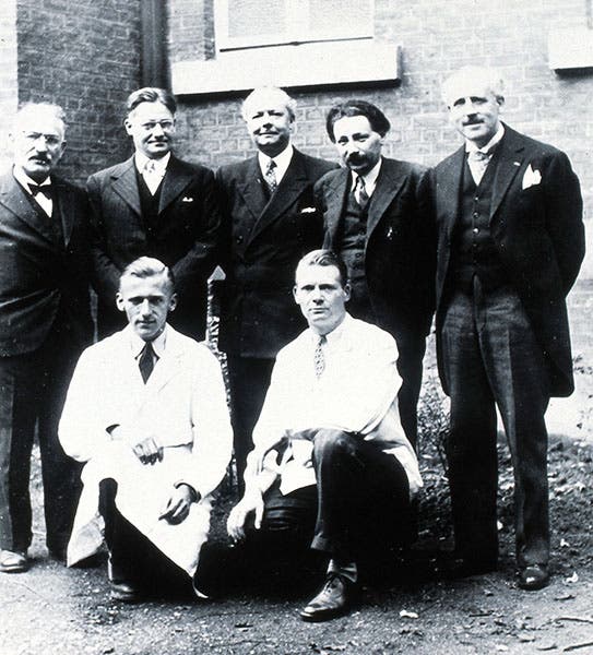 Members of the British penicillin team, including Ernst Chain (second from right, back row) and Howard Florey (second from left, back row), photograph, 1940s, Wellcome Collection (wellcomecollection.org)