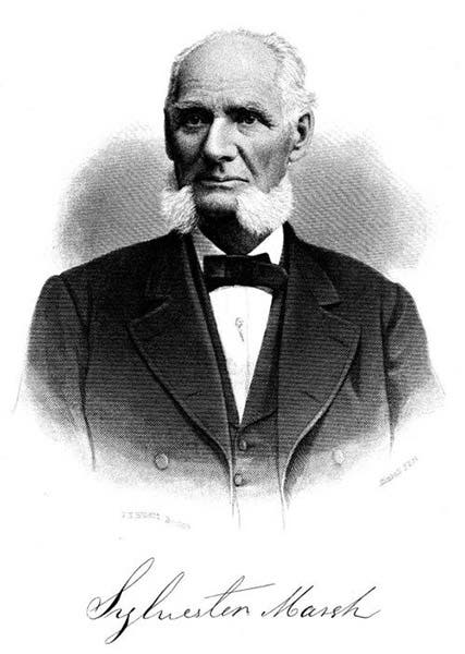 Portrait of Sylvester Marsh, undated, but ca 1870 (thecog.com)