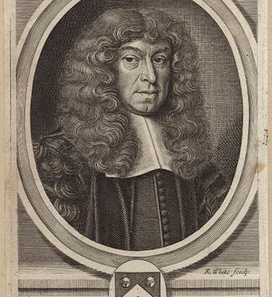 Portrait of George Ent, engraving by Robert White, 1679, National Portrait Gallery, London (npg.org.uk)