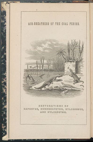 Entire frontispiece to Air-Breathers of the Coal Period, by John William Dawson, providing the names of, but not identifying, the amphibians depicted, 1863 (Linda Hall Library)
