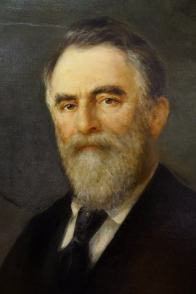 Portrait of Frederic Ward Putnam, oil on canvas, by T. Smutney, 1900, Harvard Art Museums (Wikimedia commons)