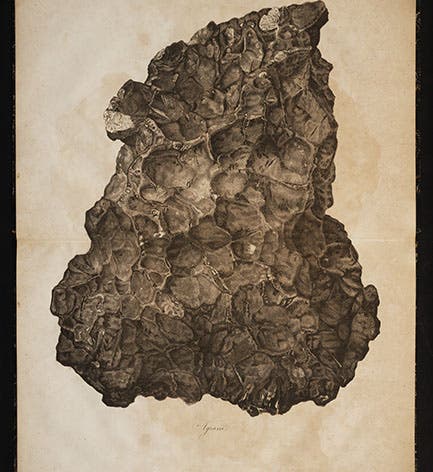 Lithograph of Agram meteorite, Karl von Schreibers, 1820 (Linda Hall Library)