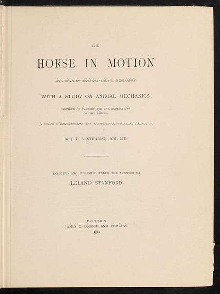 Title page of The Horse in Motion, by J.D.B. Stillman, describing and presenting the photographs of Eadweard Muybridge,