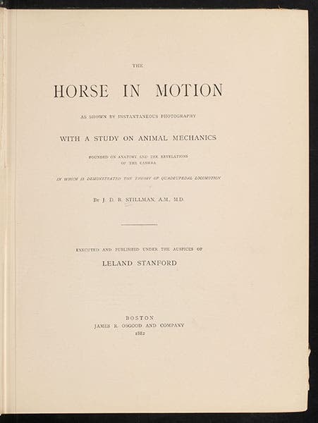 Title page of The Horse in Motion, by J.D.B. Stillman, describing and presenting the photographs of Eadweard Muybridge, 