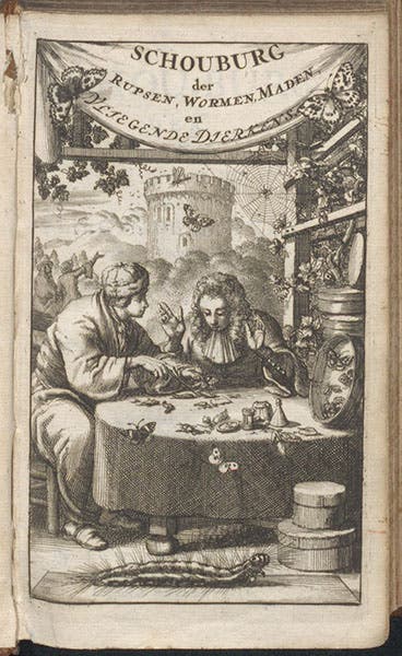 Engraved frontispiece to Schou-burg der rupsen, wormen, máden, en vliegende dierkens, Stephan Blankaart, 1688 (Linda Hall Library)