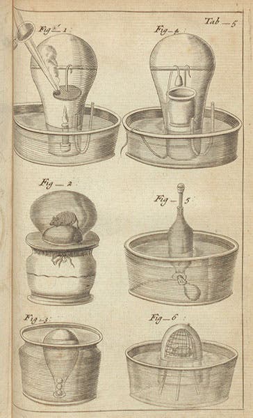 Six experiments on combustion and respiration, engraved plate in John Mayow, Opera omnia, medico-physica, tractatus quinque comprehensa, 1681 (Linda Hall Library)