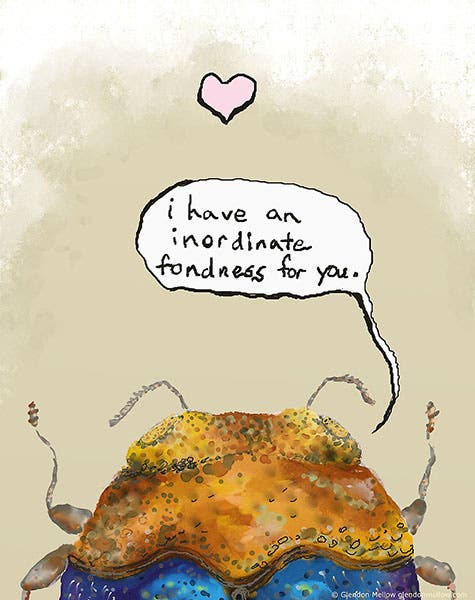 The Phrase on a Valentine’s Day card (redbubble.net)