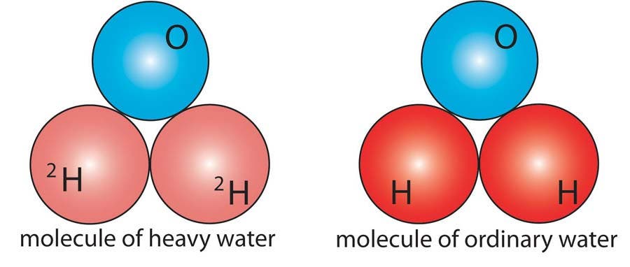 Heavy water (2H2O) contains molecules of water (H2O) in which regular hydrogen has been replaced by its isotope deuterium.