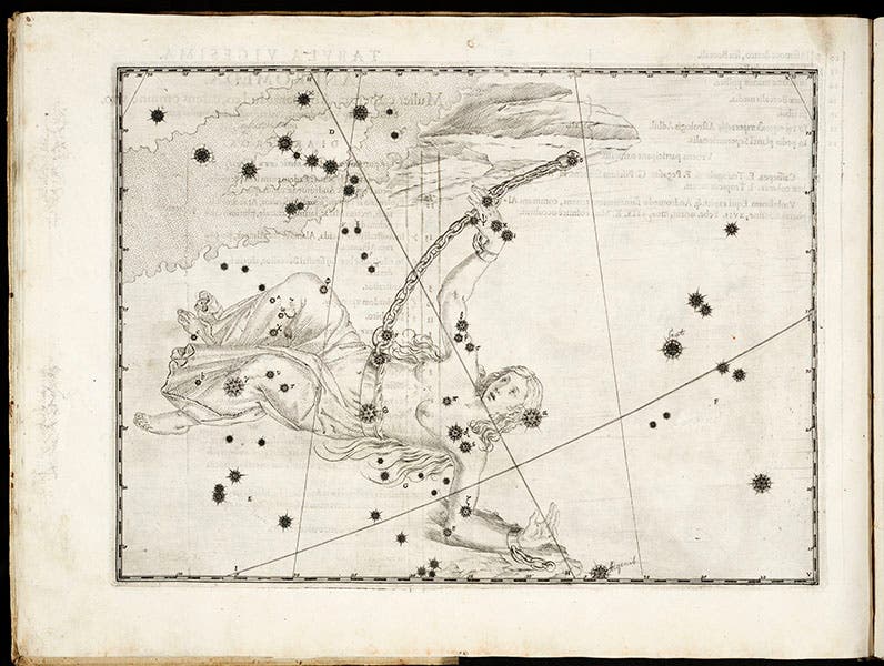 The constellation Andromeda, engraving, plate 20, in Johann Bayerf, Uranometria, 1603 (Linda Hall Library)