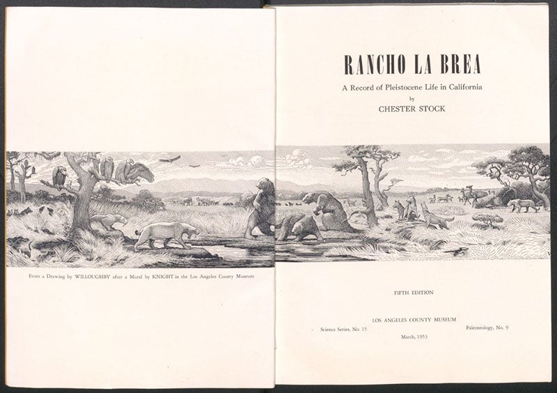 Title page and facing page, reproducing a drawing of a mural by Charles Knight, in Chester Stock, Rancho La Brea: A Record of Pleistocene Life in California, 5th ed., 1953 (author’s copy)