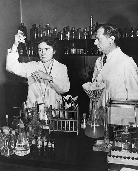 Gerty and Carl Cori in the lab, media photograph, undated, Washington University, St. Louis (wikipedia.org)