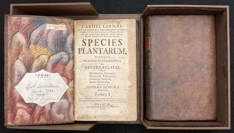 The two volumes of Species plantarum, by Carl Linnaeus, 1753, nestled in their clamshell box, with volume 1 opened up, and the signatures of three former owners on the pastedown at left (Linda Hall Library)