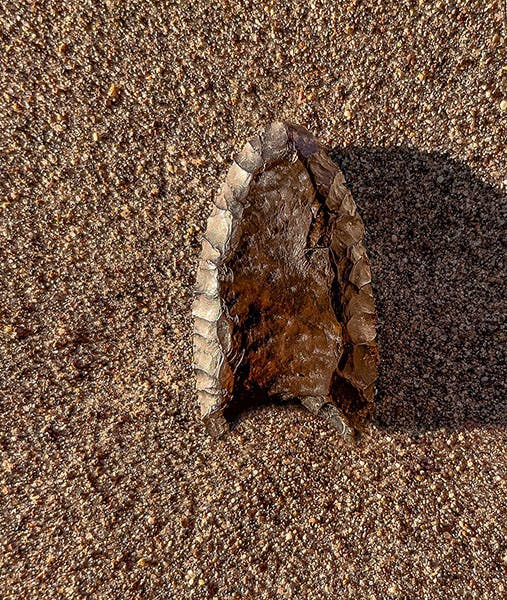 A Folsom projectile point, found on the sand at Mesa Verde (Wikimedia commons)