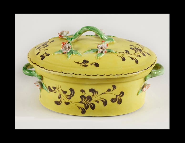 Plymouth Museums Galleries Archives