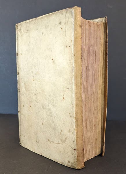 Vellum binding with folded-over edges, and fore-edge of text-block, sammelband of four works by Stefano degli Angeli, 1659-1662 (Linda Hall Library)