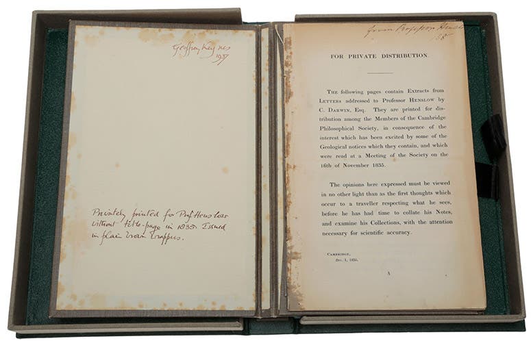 For Private Distribution … extracts from Letters addressed to Professor Henslow by C. Darwin, Esq., pamphlet compiled by John Henslow and printed for distribution to members of the Cambridge Philosophical Society, 1835, offered for sale by Sophia Rare Books, Copenhagen (sophiararebooks.com)