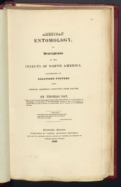 Title page, American Entomology, by Thomas Say, vol. 3, 1824-28 (Linda Hall Library)