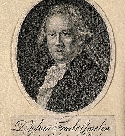 Portrait of Johann Friedrich Gmelin, mezzoint, undated, Wellcome Collection (wellcomecollection.org)