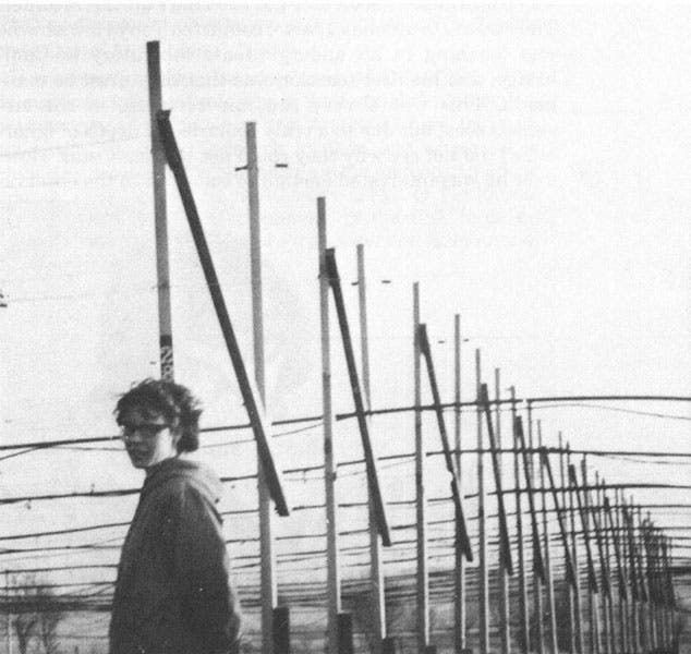 Jocelyn Bell and the radio telescope built by herself and other graduate students, used to discover the first pulsar, CP 1919, 1967 (Cambridge University Press via bigear.org)