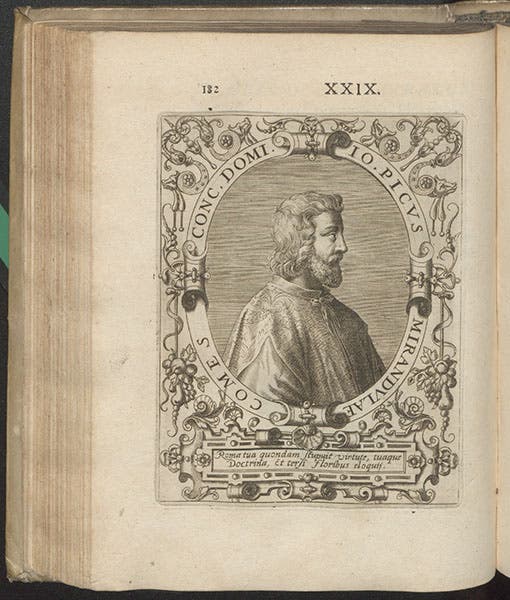 Portrait of Giovanni Pico della Mirandola, engraved by Theodor de Bry, in Jean-Jacques Boissard, Icones quinquaginta, vol. 1, 1597 (Linda Hall Library)