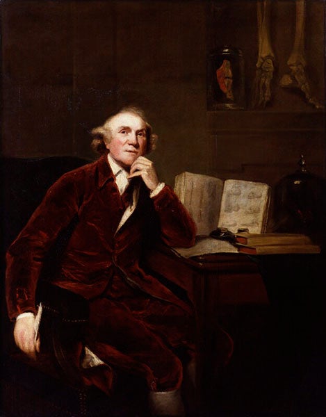 Portrait of John Hunter, by John Jackson after Joshua Reynolds, 1786/1813 (National Portrait Gallery, London)
