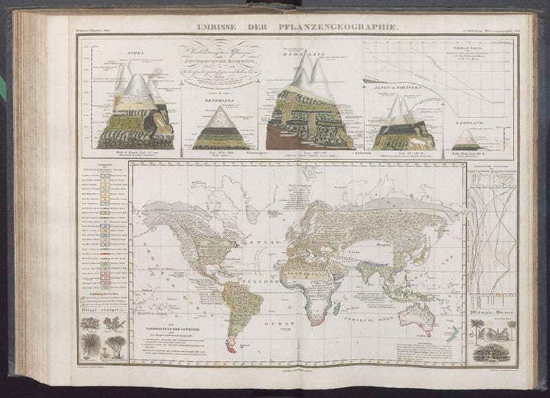 World map of the distribution of plants, with insets showing variation of plant life with elevation, hand-colored engraving, Heinrich Berghaus, Physikalischer Atlas, vol. 1, 1845 (Linda Hall Library)