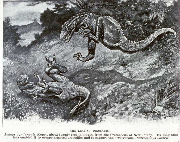 Leaping Laelaps, photo-reproduction of a watercolor by Charles R. Knight, Century Magazine, p. 13, Nov. 1897 (Linda Hall Library)
