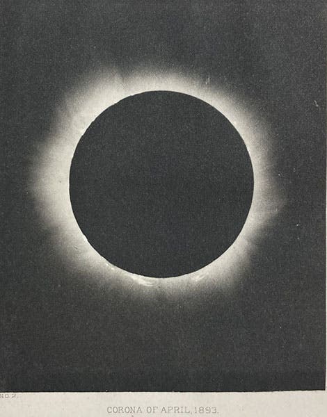 The solar corona, Apr. 16, 1893, photograph by J. M. Schaeberle, in his “Report on the total eclipse of the Sun, observed at Mina Bronces, Chile, on April 16, 1893,” Contributions from the Lick Observatory, no. 4, pl. 6, 1895 (Linda Hall Library)