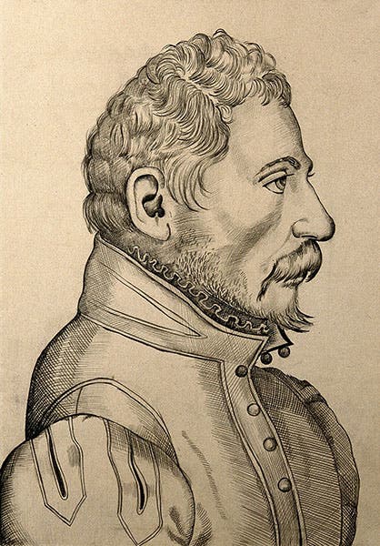 Portrait of Ambroise Paré, age 45, engraving attributed to Jean Le Royer, 1561, Wellcome Collection (wellcomecollection.org)