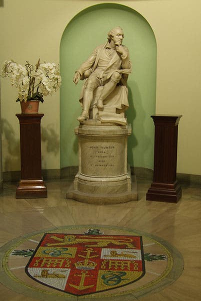 Statue of John Hunter, marble, by Henry Weekes, 1864, Royal College of Surgeons, London (“B” on flickr.com)