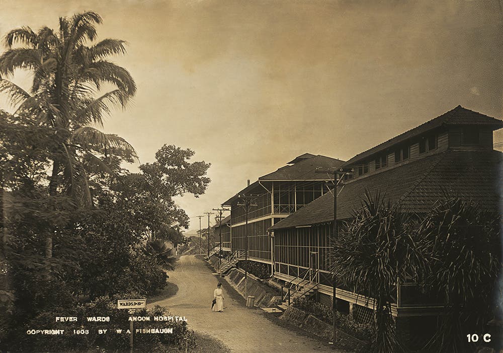 Fever wards at Ancon Hospital, 1908.
The French built Ancon Hospital on a hill above Panama City in 1882. To protect both patients and tree plantings from ants, bed posts were set in trays of water and clay rings filled with water were placed around the bases of the plants. It was the ideal breeding ground for mosquitoes and yellow fever and malaria killed many French patients.