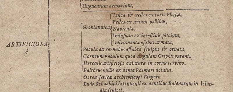Description of the kayak in Ole Worm’s museum, Synopsis methodica rariorum in Musaeo ... Olai Wormii, by Georg Seger, detail of p. 43, 1653 (Linda Hall Library)